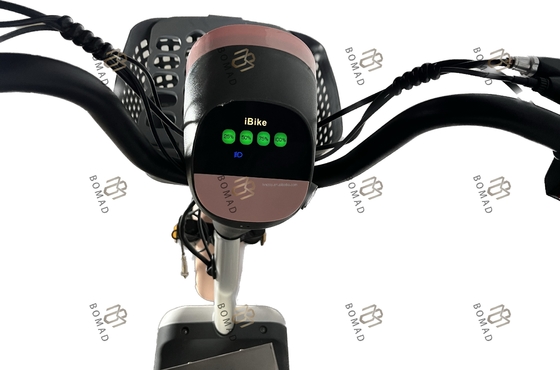 Muestra de bicicleta eléctrica de la ciudad bicicleta scooter eléctrico bicicleta con el material más bajo y el marco de acero