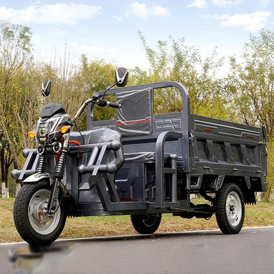 801-1000W Triciclo eléctrico de 3 ruedas Scooter eléctrico para adultos controlado por un controlador de tipo tubo