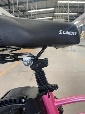 Bicicletas eléctricas asequibles para adultos Tiempo de carga 3 horas Ancho del neumático 20*2.8 Conveniente