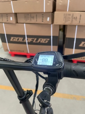 Bicicletas eléctricas asequibles para adultos Tiempo de carga 3 horas Ancho del neumático 20*2.8 Conveniente
