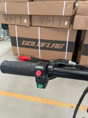 Bicicleta eléctrica plegable de dos ruedas con pedal y alcance de luz eléctrica por potencia 60 km Tiempo de carga 3 horas
