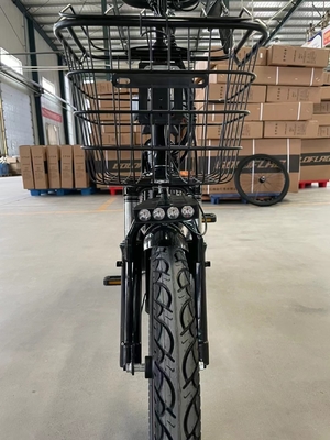 20 pulgadas de neumático todo terreno conducción eléctrica con 48V de voltaje y 13Ah batería de par 50-60 Nm