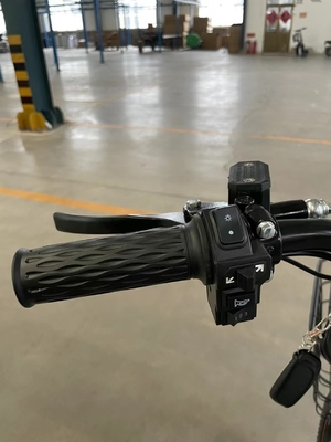 20 pulgadas de neumático todo terreno conducción eléctrica con 48V de voltaje y 13Ah batería de par 50-60 Nm