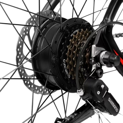 Vehículo eléctrico de 800W para aventuras de montaña Velocidad máxima 30-50Km/h Posición de la batería Batería integrada