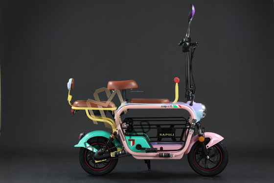 Bicicleta eléctrica compacta con batería de litio y tiempo de carga rápido