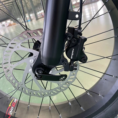 Batería integrada Montaña eléctrica de autoconducción 15A Motor eléctrico Rueda de nieve 750W Montaña bicicleta todoterreno