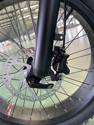 Bicicleta eléctrica de montaña de 20 pulgadas con 18 marchas y un par de 50-60 Nm