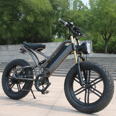 Potentes bicicletas eléctricas de 250w Adultos bicicleta de montaña eléctrica con freno de disco de la rueda trasera
