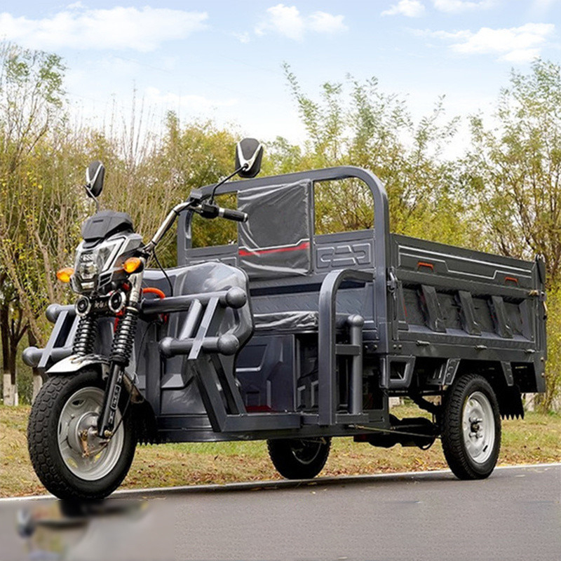 Control de todo tipo de tubo 800w/1000w/1200w/1500w Triciclo eléctrico de punta abierta para adultos Cómodo Pedal Asistido Para viajar