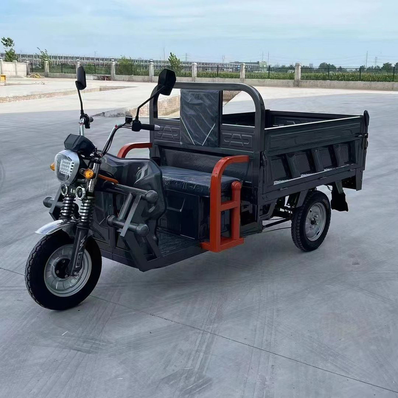 801-1000W Triciclo eléctrico de 3 ruedas Scooter eléctrico para adultos controlado por un controlador de tipo tubo
