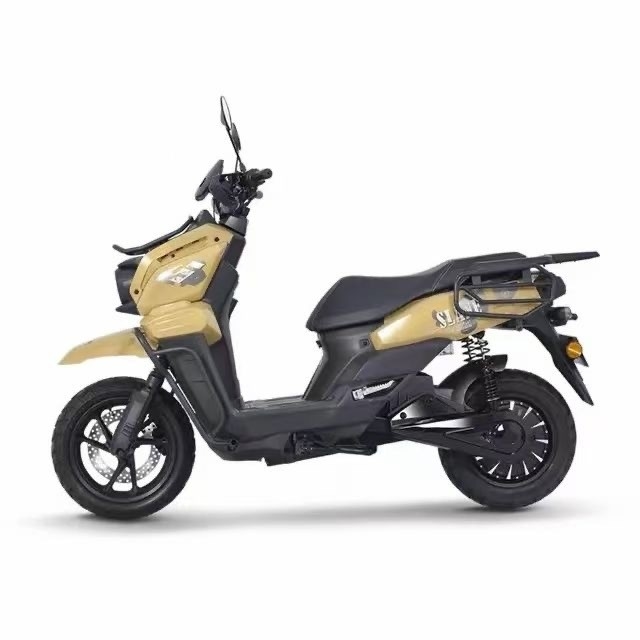 Auto eléctrico de resistencia 1000W con 48V de voltaje y velocidad máxima de 40 60km/h a precio asequible