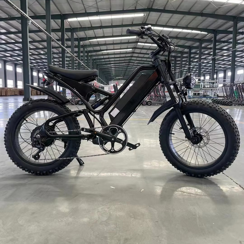 Bicicleta eléctrica de montaña de 20 pulgadas con 18 marchas y un par de 50-60 Nm