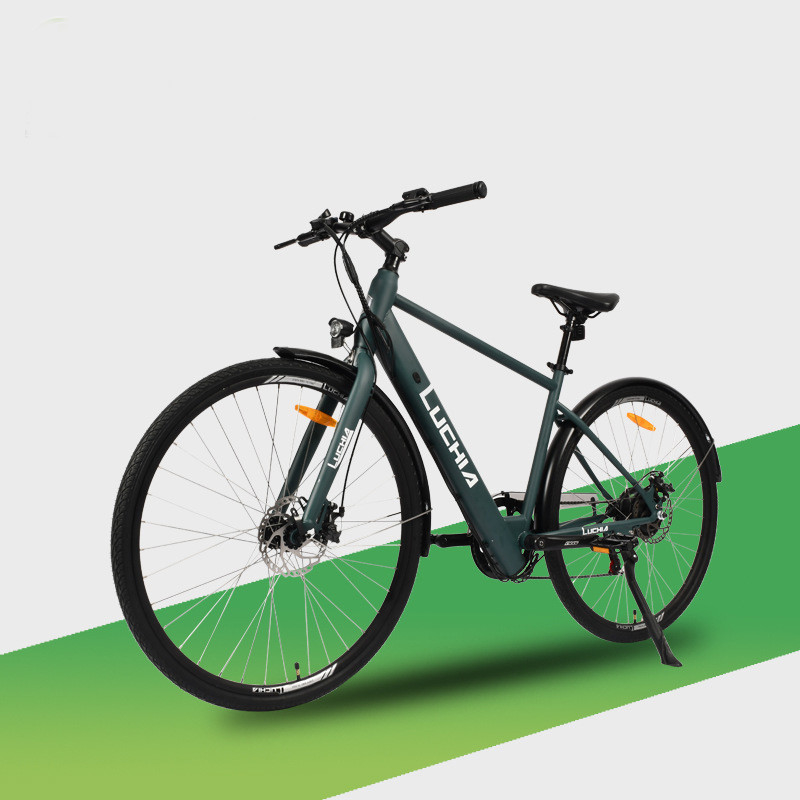 Bicicleta eléctrica de la ciudad 48v/36v Bicicleta eléctrica con potencia del motor 250W/350W/500W/750W/1000W